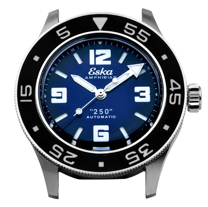 Cadran BLUE DOLPHIN